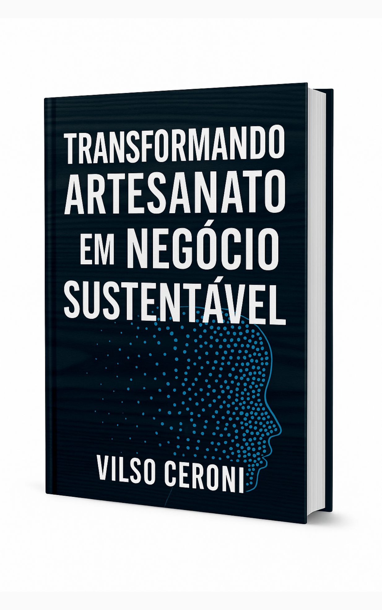 Inserir um título (4)